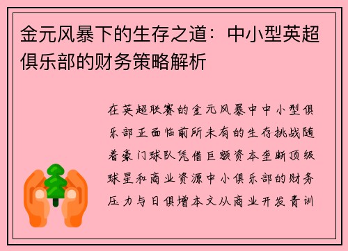 金元风暴下的生存之道：中小型英超俱乐部的财务策略解析