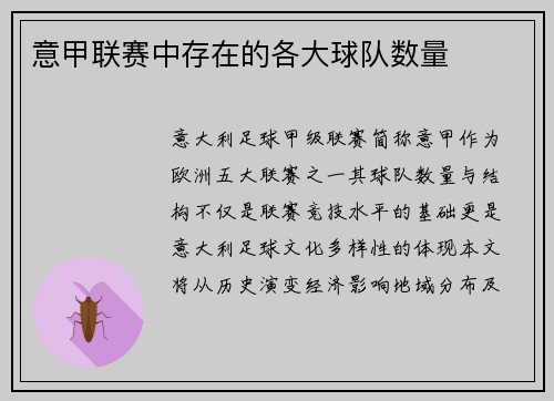 意甲联赛中存在的各大球队数量