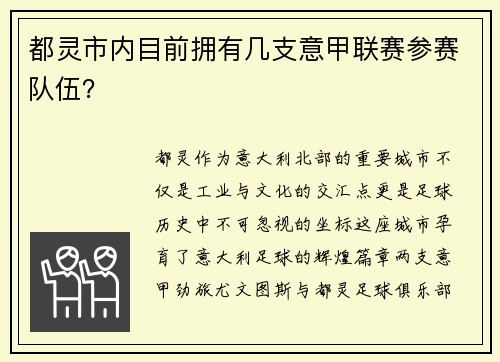 都灵市内目前拥有几支意甲联赛参赛队伍？